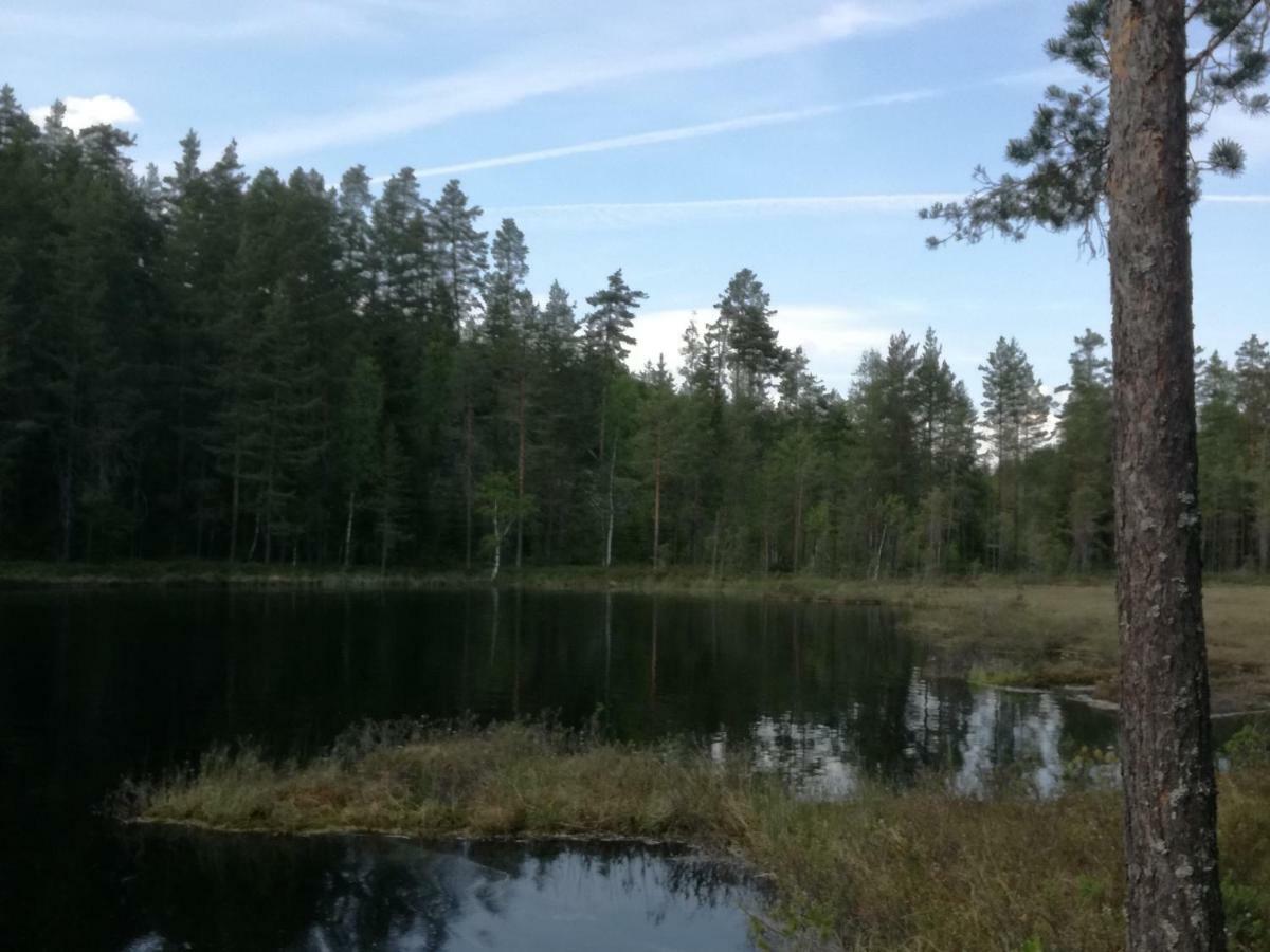 Presterudveien 125 Vikersund Dış mekan fotoğraf