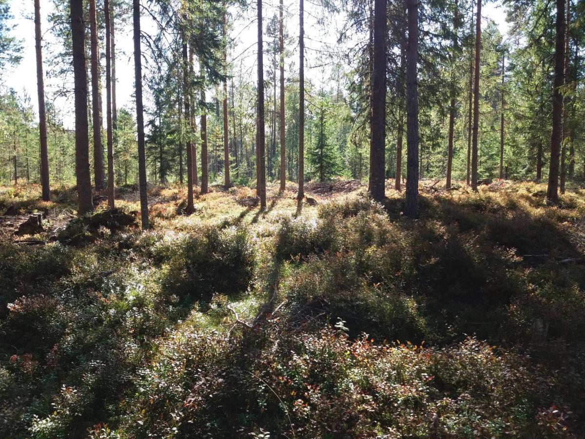 Presterudveien 125 Vikersund Dış mekan fotoğraf